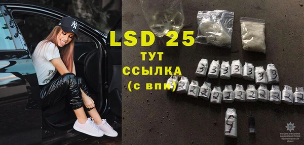 ГАЛЛЮЦИНОГЕННЫЕ ГРИБЫ Липки